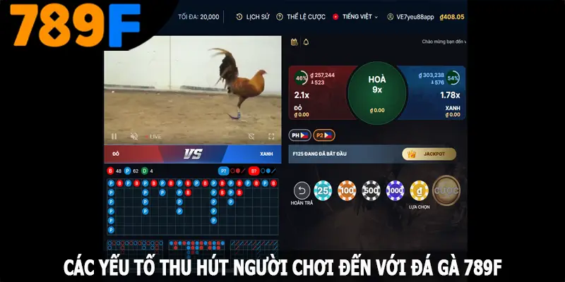 Các yếu tố thu hút người chơi đến với đá gà 789F