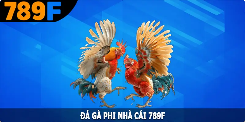 Đá Gà Phi - Hình Thức Giải Trí Hấp Dẫn Hàng Đầu Tại 789F