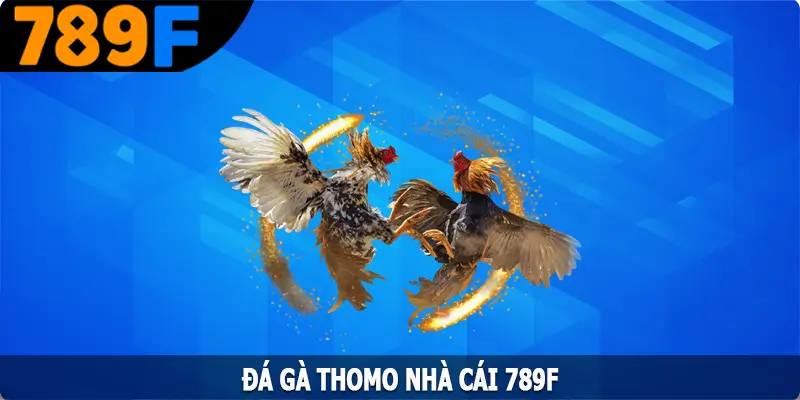 Đá Gà Thomo - Trải Nghiệm Sân Chơi Chọi Gà Đình Đám 789F