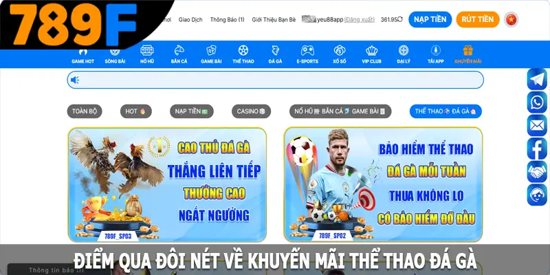 Điểm qua đôi nét về khuyến mãi thể thao đá gà Điểm qua đôi nét về khuyến mãi thể thao đá gà