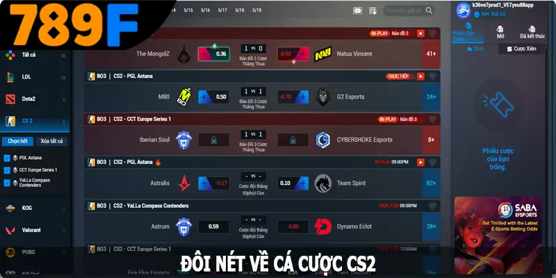 Đôi nét về tham gia CS2