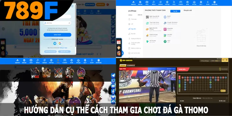 Hướng dẫn cụ thể cách tham gia chơi đá gà Thomo Hướng dẫn cụ thể cách tham gia chơi đá gà Thomo