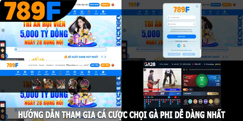 Hướng dẫn tham gia cá cược chọi gà Phi dễ dàng nhất Hướng dẫn tham gia cá cược chọi gà Phi dễ dàng nhất