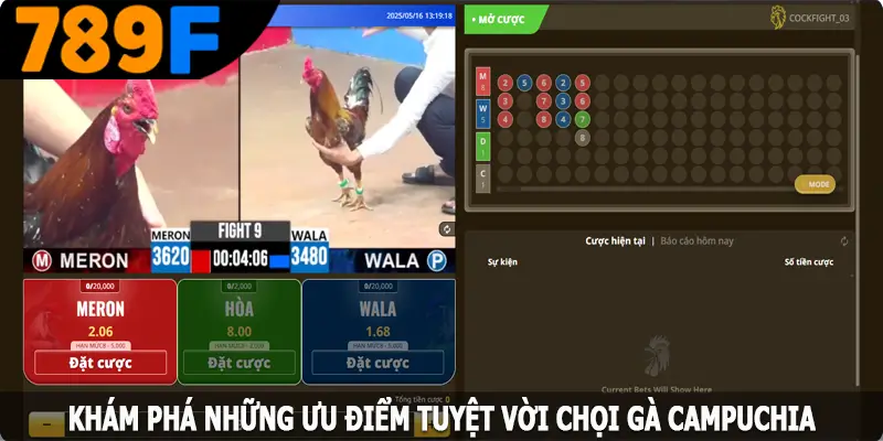 Khám phá những ưu điểm tuyệt vời mà chọi gà Campuchia sở hữu kham pha nhung uu diem tuyet voi ma choi ga campuchia so huu