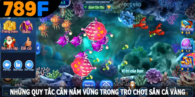 Những quy tắc cần nắm vững trong trò chơi săn cá vàng Những quy tắc cần nắm vững trong trò chơi săn cá vàng