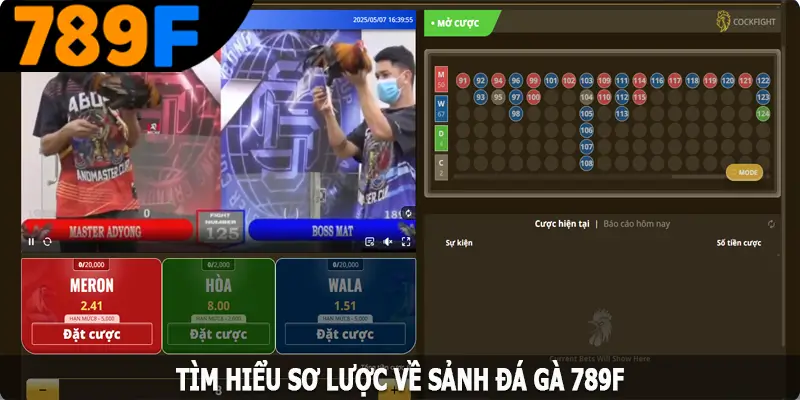 Tìm hiểu sơ lược về sảnh đá gà 789F