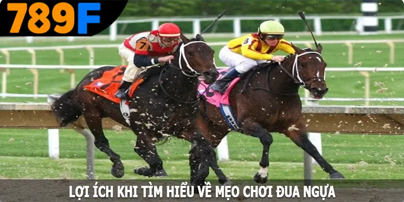 Lợi ích khi tìm hiểu về mẹo chơi đua ngựa