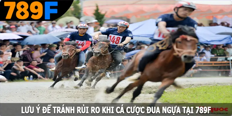 Lưu ý để tránh rủi ro khi cá cược đua ngựa tại 789F