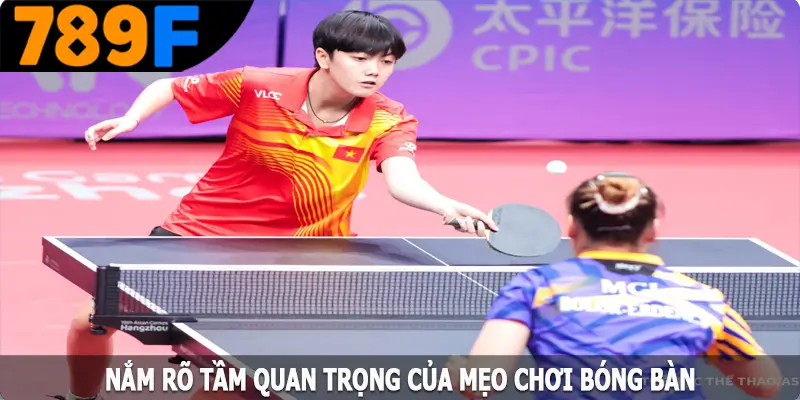 Nắm rõ tầm quan trọng của mẹo chơi bóng bàn Nắm rõ tầm quan trọng của mẹo chơi bóng bàn
