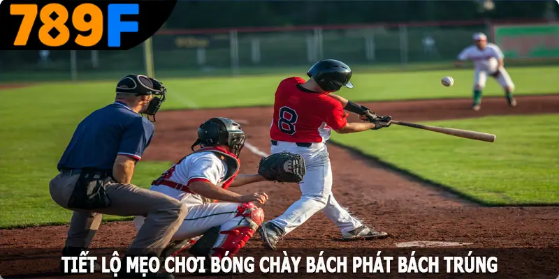 Tiết lộ mẹo chơi bóng chày bách phát bách trúng