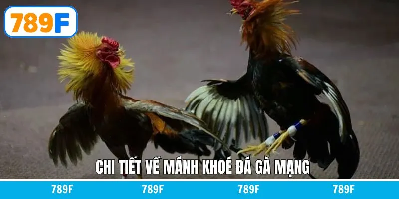 Mánh khóe đá gà mạng chinh phục chiến thắng