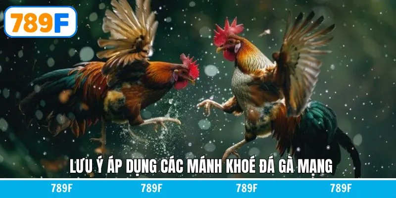 Lưu ý quan trọng để dự đoán đúng trong đá gà mạng