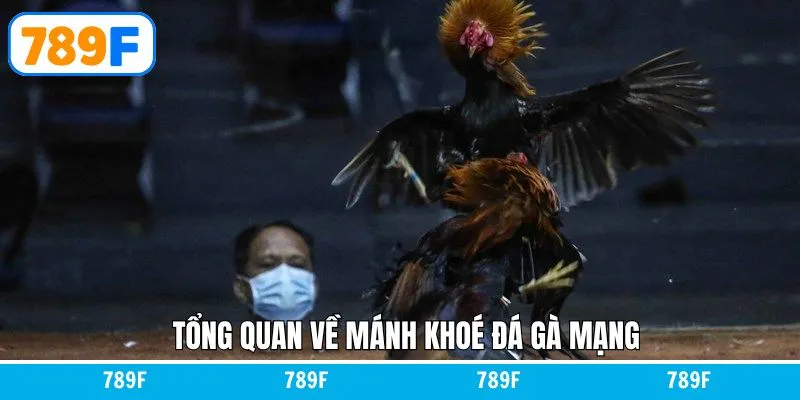 Tổng quan về mánh khóe đá gà hiệu quả